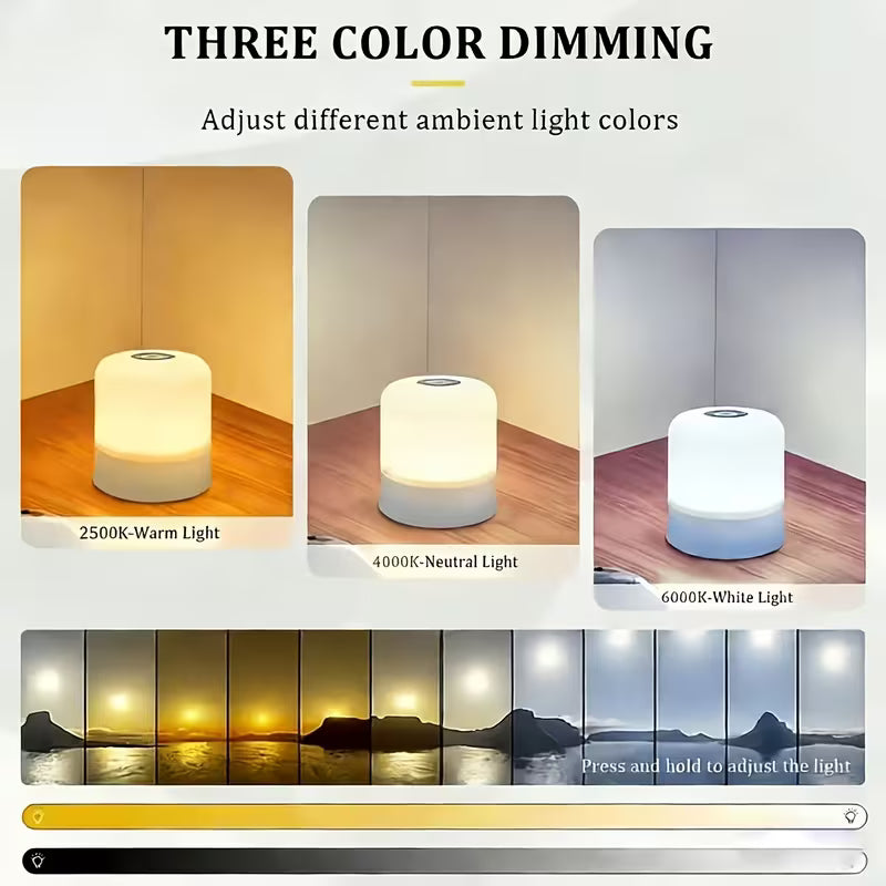 LED Night Light Desk Lamb Dimmable Touch Controlled